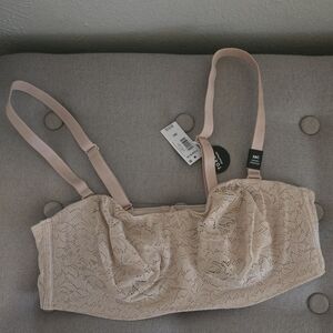 Torrid Lace Bandeau in Soft Beige